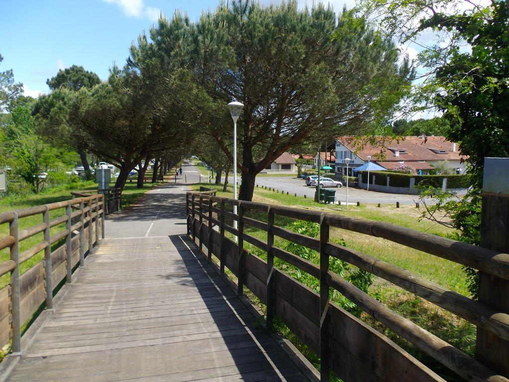 Cote Et Biscarrosse